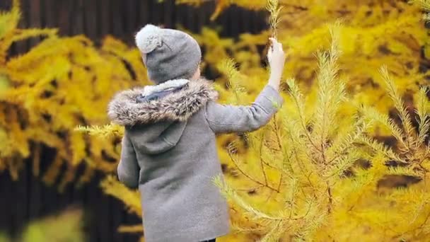 Adorable little girl playing outdoors enjoyiing warm weather — Stock Video