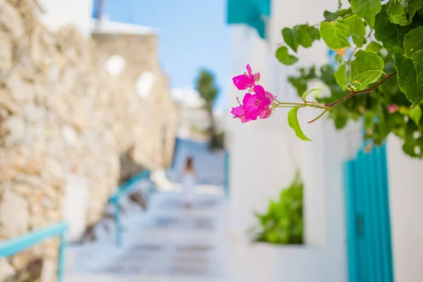 Las estrechas calles de la isla griega con flores. Hermoso edificio de arquitectura exterior con estilo cicládico . —  Fotos de Stock