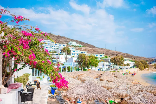 Bouganville fiorite sulla spiaggia contro il Mar Mediterraneo in Grecia — Foto Stock