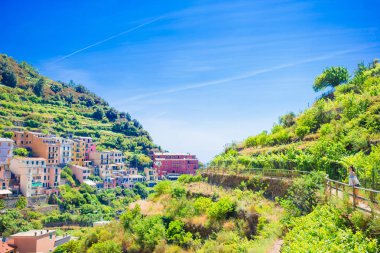 Manarola köy mimarisi üzerinde görüntüleyin. Güzel bir şehir Cinque Terre, taly en popüler eski köyde biridir