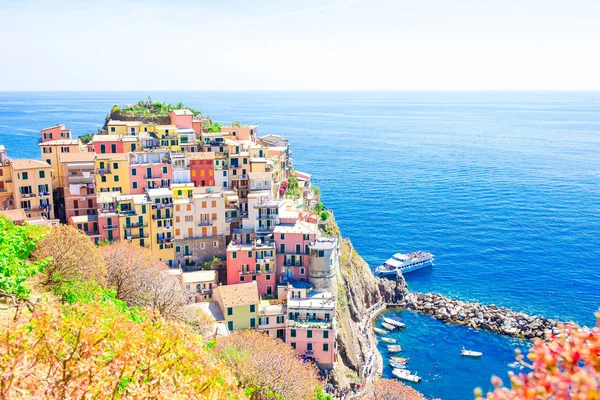 Fantastisk utsikt över den vackra och mysiga byn Manarola från ovan i Cinque Terre reserv. Ligurien i Italien. — Stockfoto