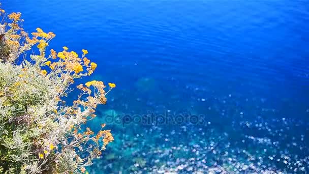 Prachtige kustlijn op de Cinque Terre, Ligurië, Italië. Transparant turkoois helder water — Stockvideo