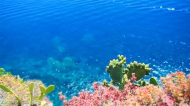 Cinque Terre, Liguria, İtalya güzel sahil şeridi. Şeffaf turkuaz temiz su
