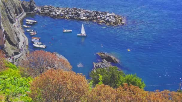 Belle baie confortable avec des bateaux et de l'eau turquoise claire en Italie, en Europe — Video