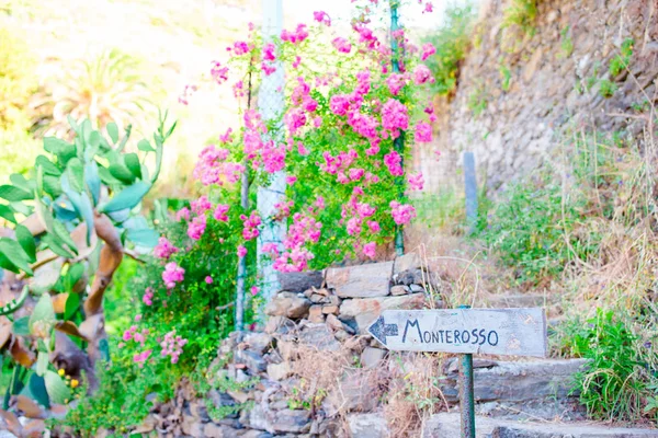 Azure trail is de meest eenvoudige, de meest bekende en meest bezochte trail in alle Cinque Terre — Stockfoto