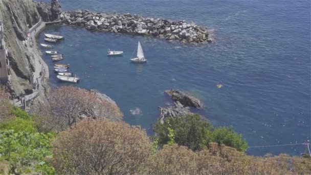 Hermosa bahía acogedora con barcos y agua turquesa clara en Cinco Tierras en cInque Terre en Italia, Europa — Vídeo de stock