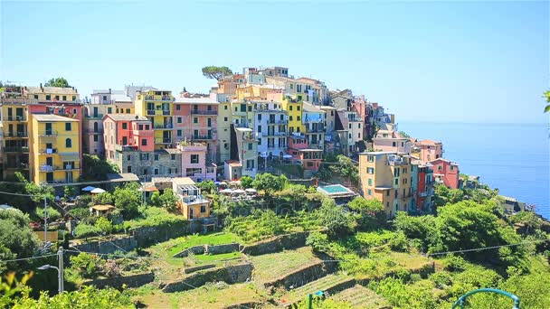 Linda aldeia incrível na reserva Cinque Terre. Região da Ligúria da Itália. Uma de cinco terras a aldeia de Corniglia — Vídeo de Stock