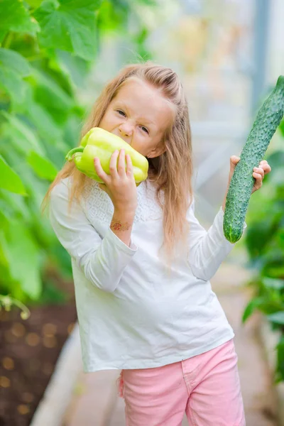 Schattig meisje oogsten in kas. Portret van de jongen met de grote peper in handen — Stockfoto