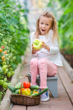 Serada hasat sevimli küçük kız. Ellerinde büyük domates ile çocuk portresi