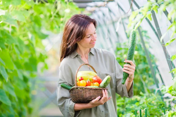 Mladá žena s košíkem zeleně a zeleniny ve skleníku. Čas sklizně — Stock fotografie