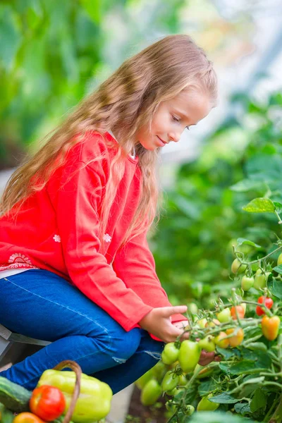 Adorable little girl harvesting cucumbers and tomatoes in greenhouse. Portrait of kid with red tomato in hands. — Stock Photo, Image
