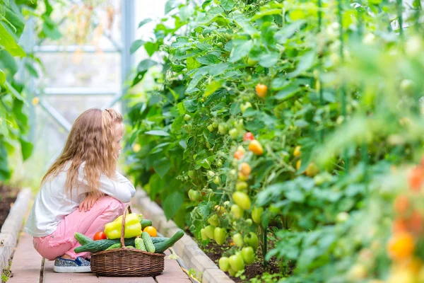 Adorable little girl harvesting in greenhouse. Portrait of kid with the big tomato in hands — Stock Photo, Image