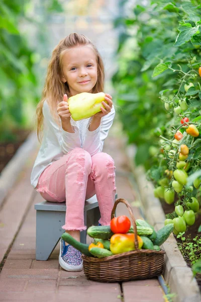 Adorabile bambina che raccoglie in serra. Ritratto di bambino con il pomodoro grande in mano — Foto Stock