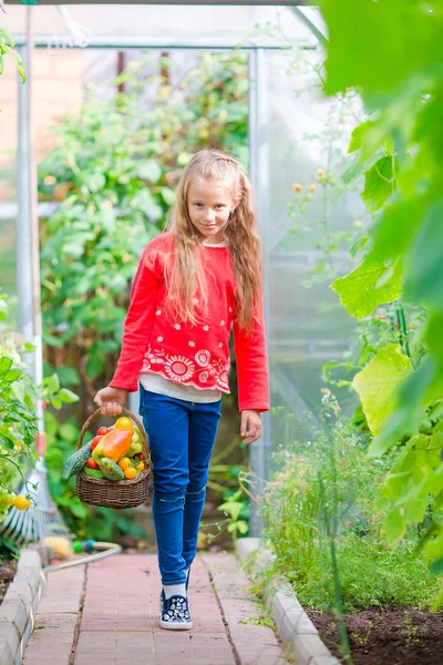 Kleines Mädchen sammelt Gurken und Tomaten im Gewächshaus. Porträt eines Kindes mit einem großen Buskorb voller Gemüse in der Hand. Erntezeit — Stockfoto
