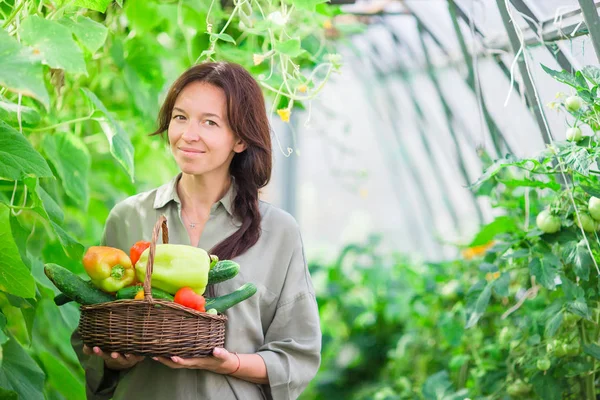 Jeune femme avec panier de verdure et légumes dans la serre. Temps de récolte — Photo