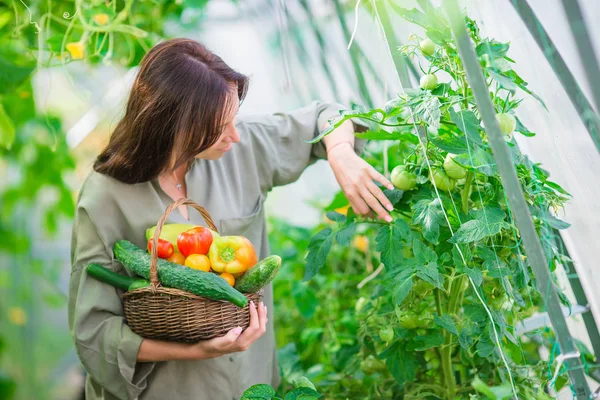 Jeune femme avec panier de verdure et légumes dans la serre. Temps de récolte — Photo