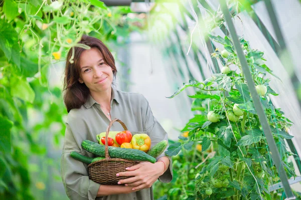 Jeune femme avec panier de verdure et légumes dans la serre. Temps de récolte — Photo