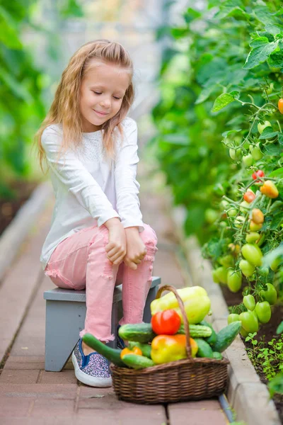 Adorable little girl in greenhouse in summer day — Stock Photo, Image