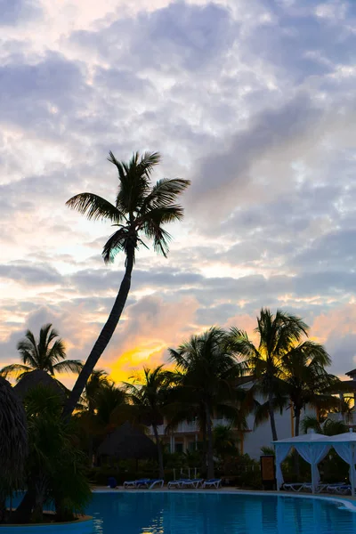 Colorido atardecer sobre la playa de mar con silueta de palmera —  Fotos de Stock