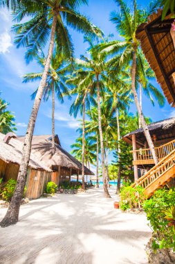 Palmiye ağaçları, beyaz kum, turkuaz okyanus su ve mavi gökyüzü ile güzel tropikal plaj