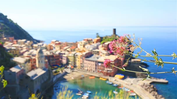 Adembenemend uitzicht op Vernazza van bovenaf. Een van de vijf beroemde kleurrijke dorpjes van de Cinque Terre National Park in Italië — Stockvideo