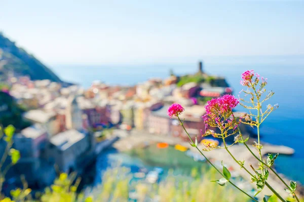 Vista sulla bellissima città di Vernazza dall'alto. Vernazza è uno dei borghi più popolari delle Cinque Terre — Foto Stock