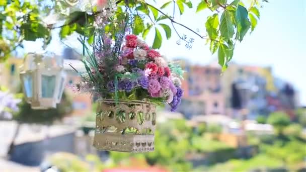 One of old five famous colorful villages of Cinque Terre National Park in Italy. Closeup on the beautiful flowers — Stock Video