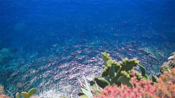 Lindo litoral em Cinque Terre, Ligúria, Itália. Água límpida turquesa transparente — Vídeo de Stock