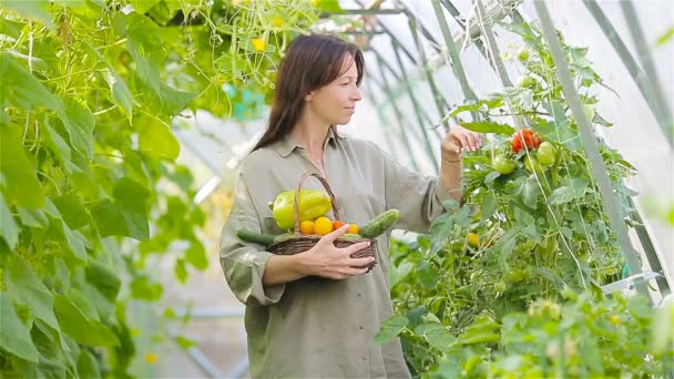 Giovane donna con cesto di verde e verdure in serra. Tempo di raccolta — Video Stock