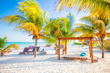 Egzotik tropik boş kumlu plaj şemsiyeleri ve palmiye ağaçlarıyla çevrili plaj yatak ile