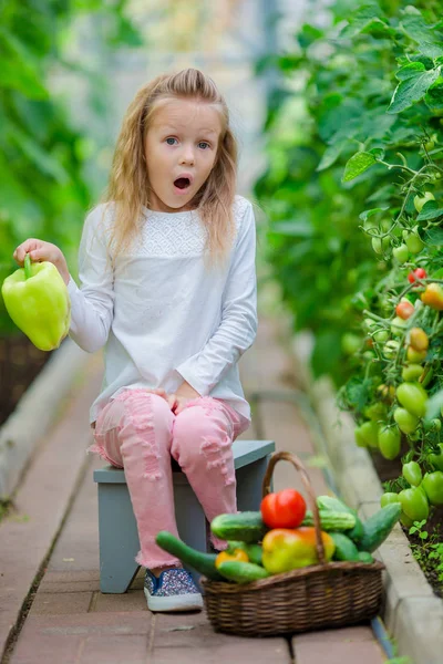 Adorabile bambina che raccoglie in serra. Ritratto di bambino con il pepe verde grande in mani — Foto Stock