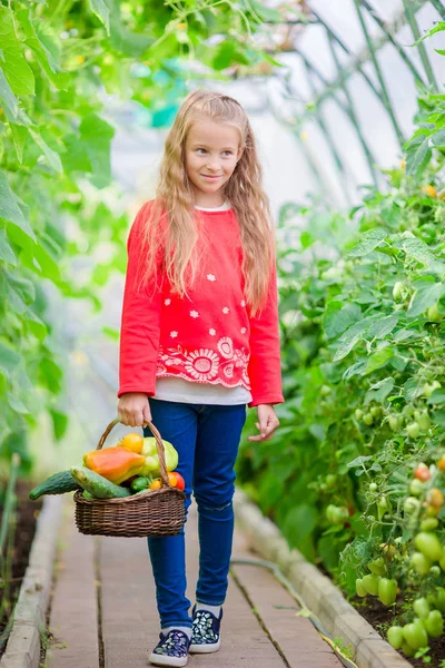 Adorable little girl harvesting cucumbers and tomatoes in greenhouse. Portrait of kid with red tomato in hands. — Stock Photo, Image