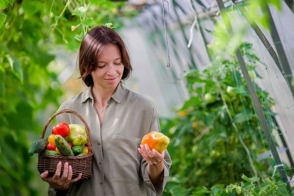 Young woman with basket of greenery and vegetables in the greenhouse. Harvesting time — Stock Photo, Image