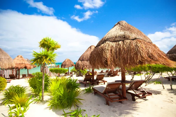 Egzotik tropik boş kumlu plaj şemsiye ve plaj yatak ile cennet görünümünü