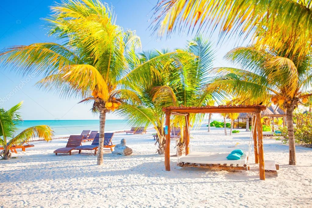 Exotic tropical empty sandy beach with umbrellas and beach beds surrounded by palm trees