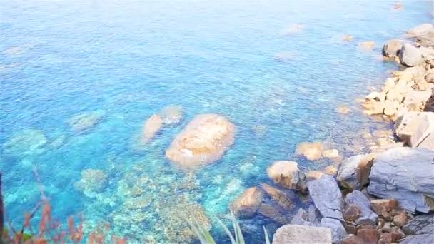 Cinque Terre, Liguria, İtalya güzel sahil şeridi. Şeffaf turkuaz temiz su. Ağır çekim — Stok video