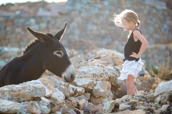 Little adorable girl with donkey on Mykonos