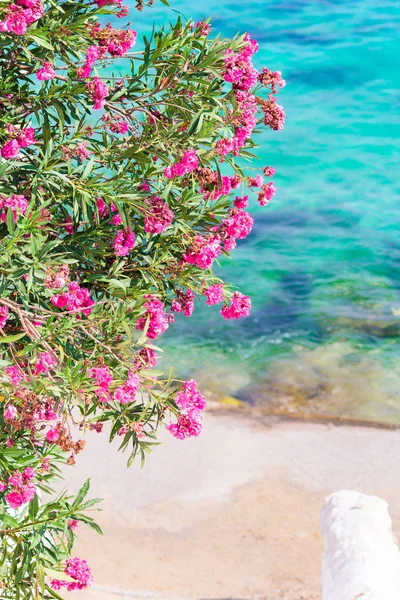 Bellissimo paesaggio con vista mare sull'isola di Mykonos, Grecia — Foto Stock