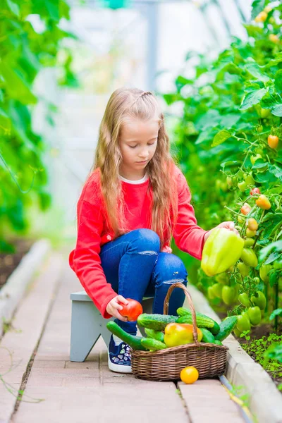 Adorable niña cosechando pepinos y tomates en invernadero. Retrato de niño con tomate rojo en las manos . —  Fotos de Stock