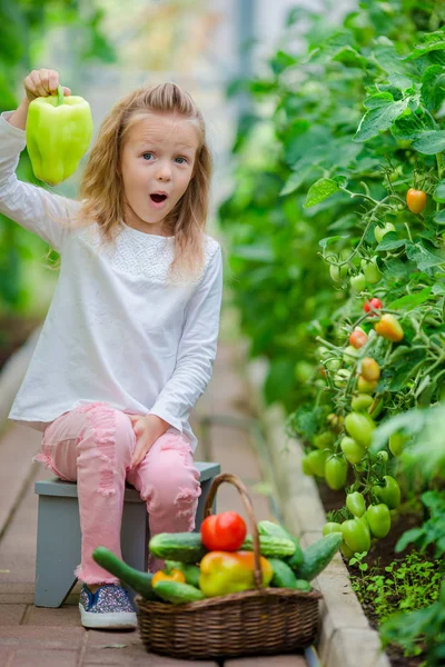 Adorable little girl harvesting in greenhouse. Portrait of kid with the big green pepper in hands — Stock Photo, Image