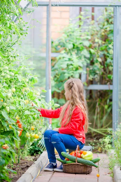 Adorable little girl harvesting cucumbers and tomatoes in greenhouse. Portrait of kid with red tomato in hands. — Stock Photo, Image