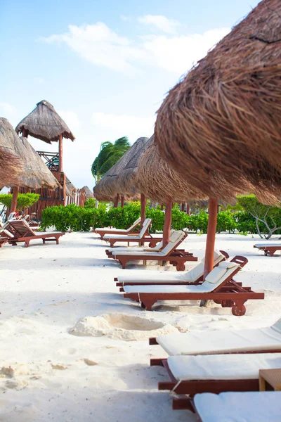 Beyaz Beach plaj şezlong