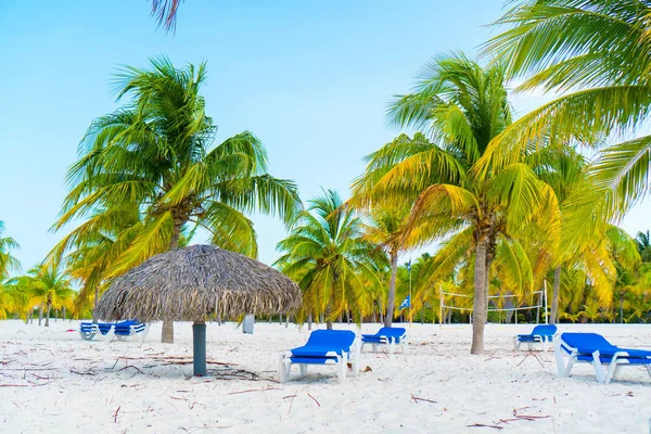 Exotic tropical empty sandy beach with umbrellas and beach beds surrounded by palm trees — Stock Photo, Image