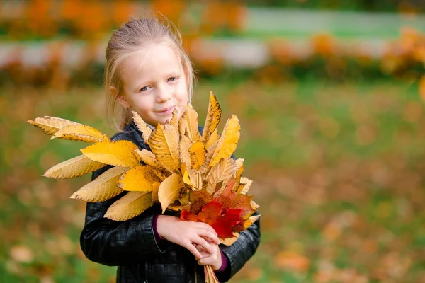 Portrait d'adorable petite fille avec bouquet de feuilles jaunes et orange à l'extérieur à la belle journée d'automne — Photo