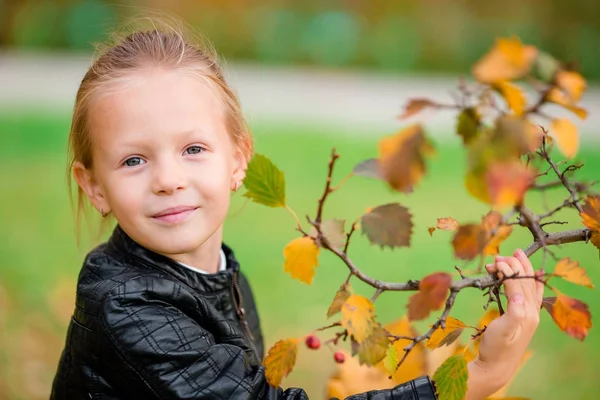 Portrait of adorable little girl with yellow and orange leaves bouquet outdoors at beautiful autumn day — Stock Photo, Image