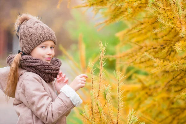 Sonbaharda sarı ağaç arka plan ile sevimli küçük kız portresi