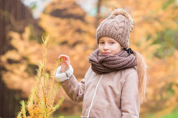 Portrét rozkošné holčičky venku na krásném podzimním dni — Stock fotografie