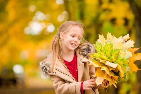 Sonbaharda sarı yapraklı sevimli küçük bir kızın portresi. — Stok fotoğraf