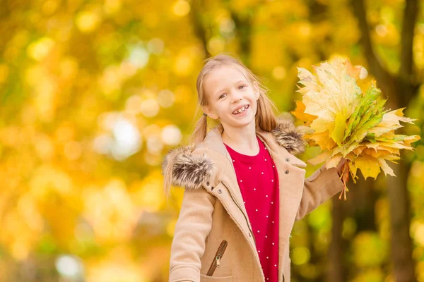 Sonbaharda sevimli küçük kız portresi — Stok fotoğraf