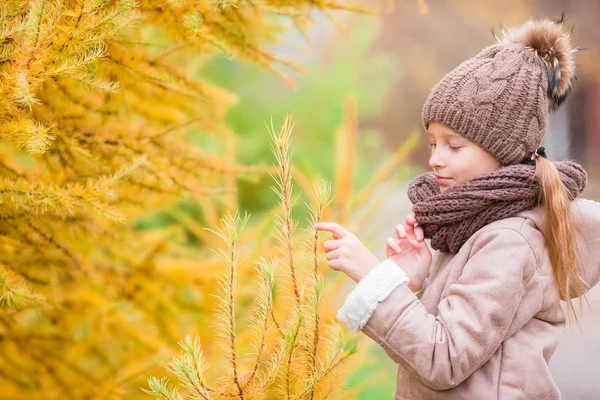 Porträt eines entzückenden kleinen Mädchens mit gelbem Blätterstrauß im Herbst — Stockfoto